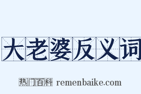 大老婆反义词是什么意思的图片